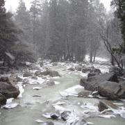 Slush in Yosemite Creek